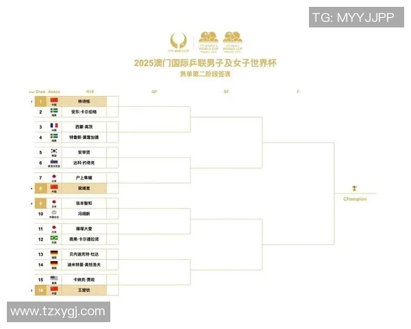 杭州乒乓球队在杯赛中的比赛经验与表现分析与总结 杭州乒乓球队在杯赛中的比赛经验与表现分析与总结