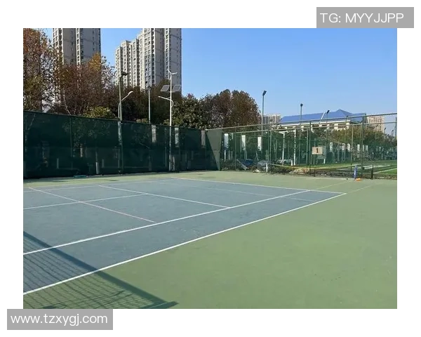 重庆网球队的个人能力揭秘网球巨献带你走进运动员的世界 重庆网球队的个人能力揭秘网球巨献带你走进运动员的世界