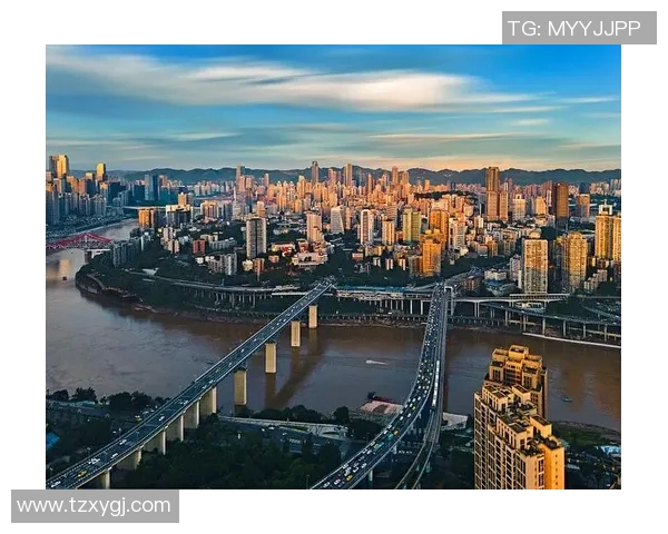 重庆排球队的奋斗历程与荣耀时刻全景纪实 重庆排球队的奋斗历程与荣耀时刻全景纪实