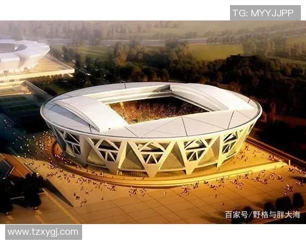 北京网球队在奥运会上的个人能力表现分析与点评 北京网球队在奥运会上的个人能力表现分析与点评