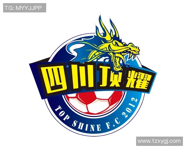 成都足球队的速度变革引发热议推动城市足球新发展与未来展望