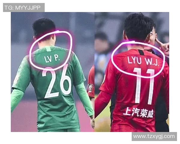 深圳网球队的辉煌之路:从默默无闻到杯赛争冠的蜕变历程 深圳网球队的辉煌之路:从默默无闻到杯赛争冠的蜕变历程