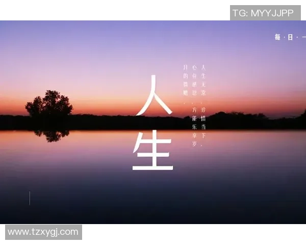 深度对话王强排球人生的起伏与坚持探索