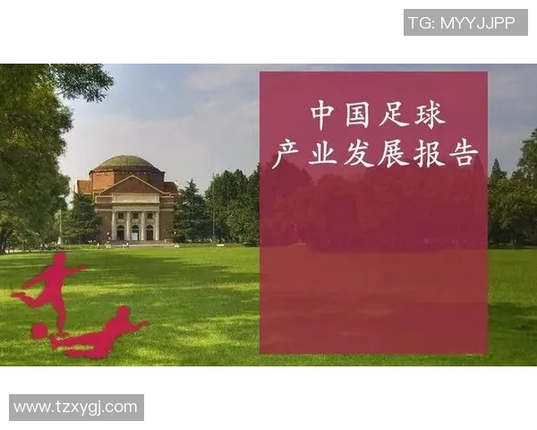 贵州体育产业助力足球明星崛起推动地方经济发展与文化传承