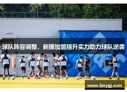 球队阵容调整，新援加盟提升实力助力球队逆袭