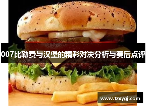 007比勒费与汉堡的精彩对决分析与赛后点评