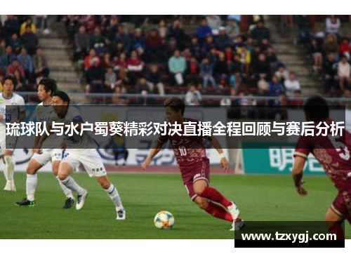 琉球队与水户蜀葵精彩对决直播全程回顾与赛后分析