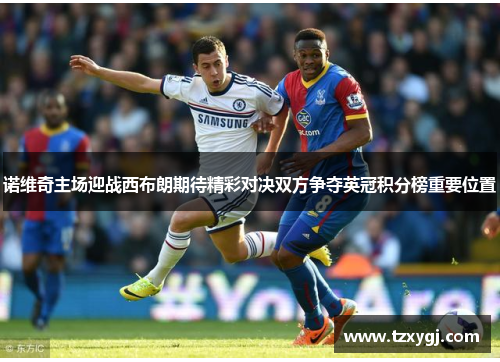 诺维奇主场迎战西布朗期待精彩对决双方争夺英冠积分榜重要位置