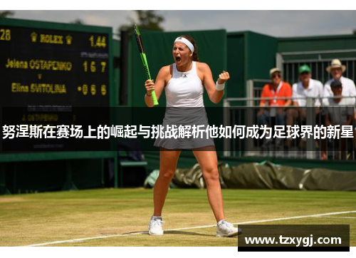 努涅斯在赛场上的崛起与挑战解析他如何成为足球界的新星